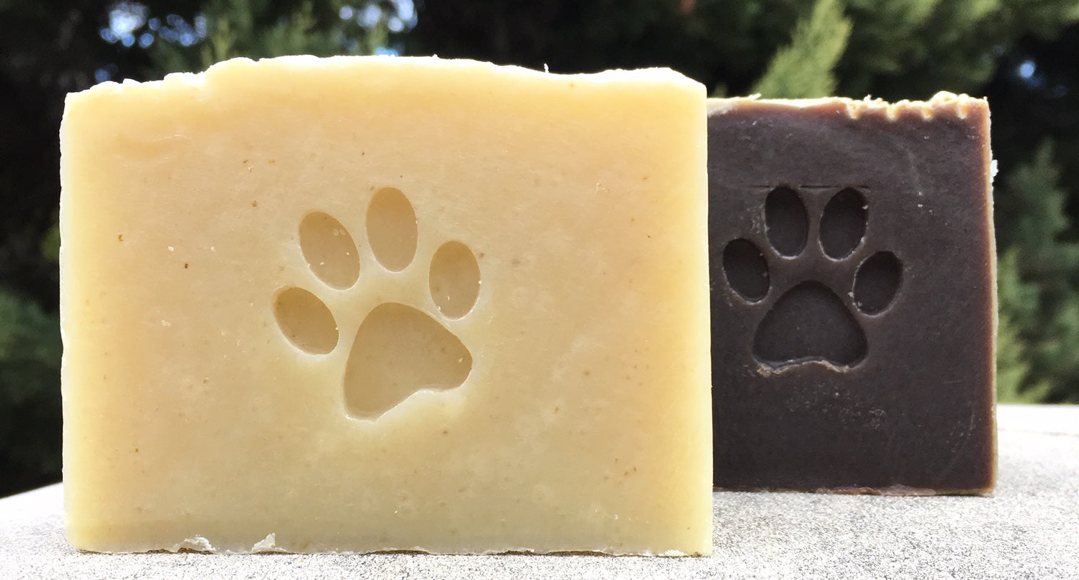 Dog Shampoo