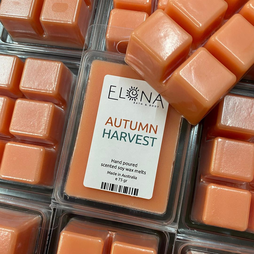 Autumn Harvest Melt