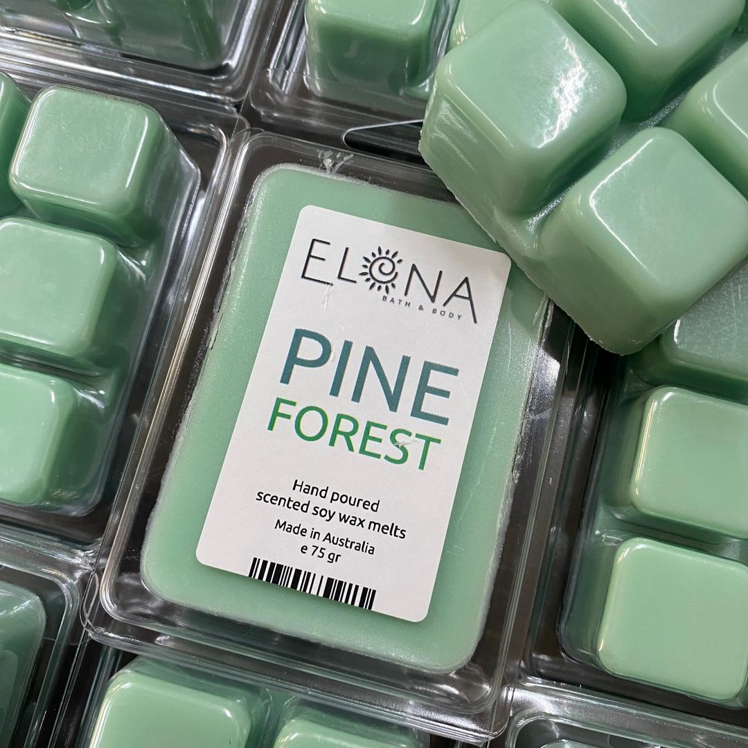 Pine Forest Melt