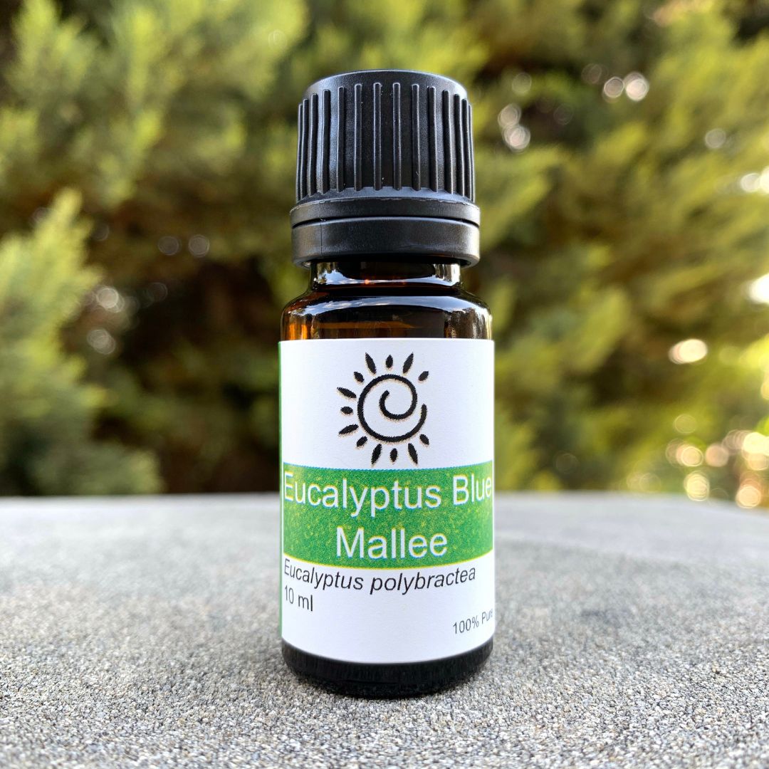 Eucalyptus Blue Mallee Essential Oil-Ess Oils-Elena Bath and Body-natural-pure-best-australia