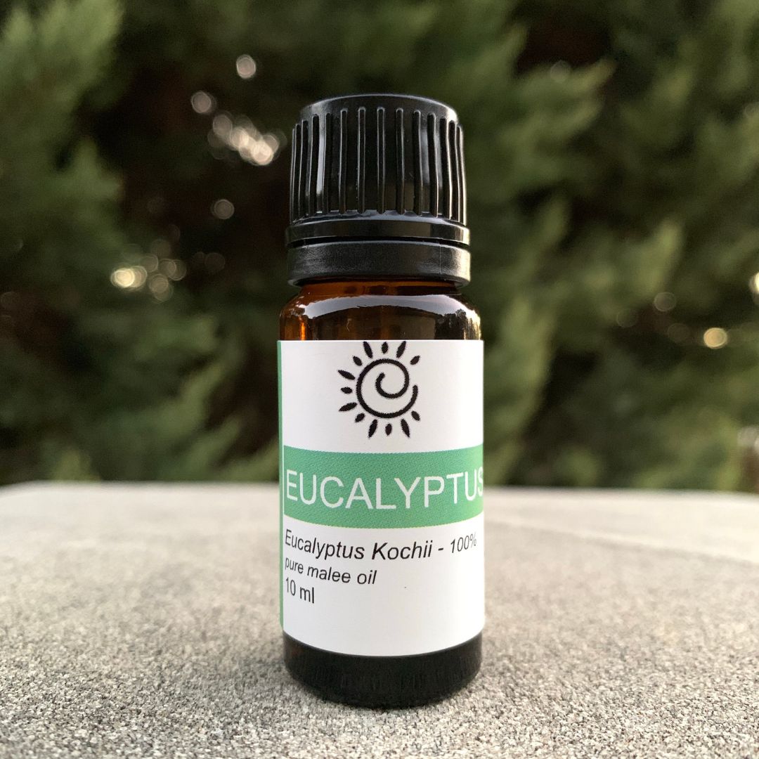 Eucalyptus Kochii Essential Oil-Ess Oils-Elena Bath and Body-natural-pure-best-australia