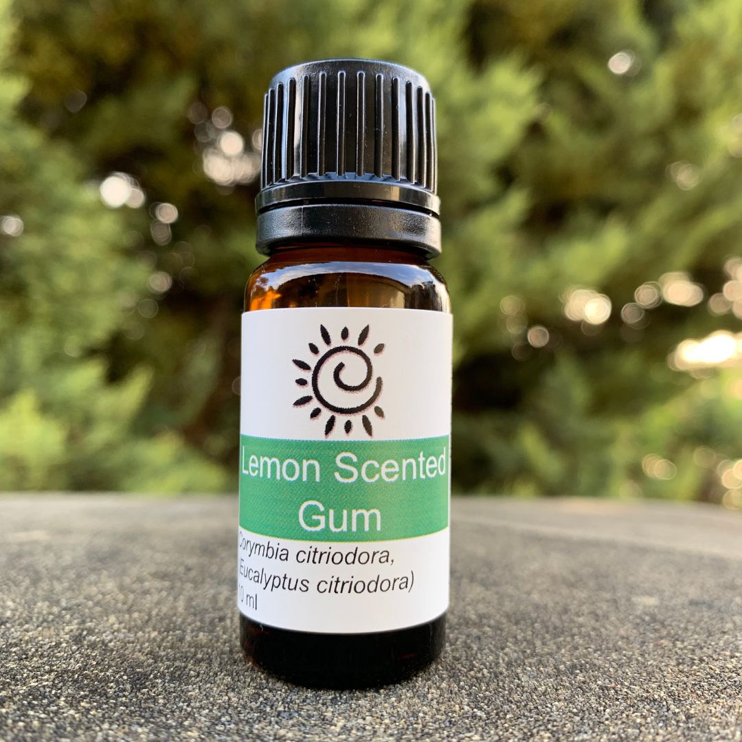 Lemon Scented Gum Essential Oil-Ess Oils-Elena Bath and Body-natural-pure-best-australia