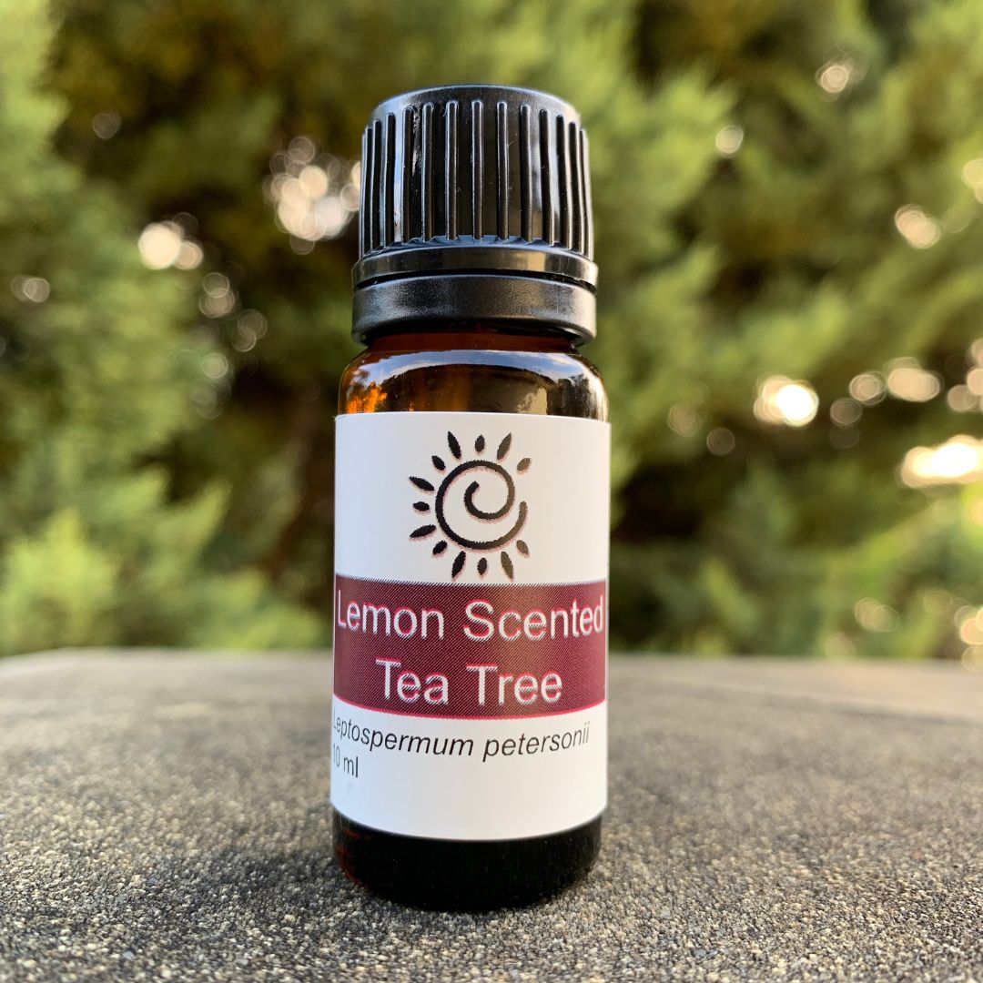 Lemon Scented Tea Tree Essential Oil-Ess Oils-Elena Bath and Body-natural-pure-best-australia
