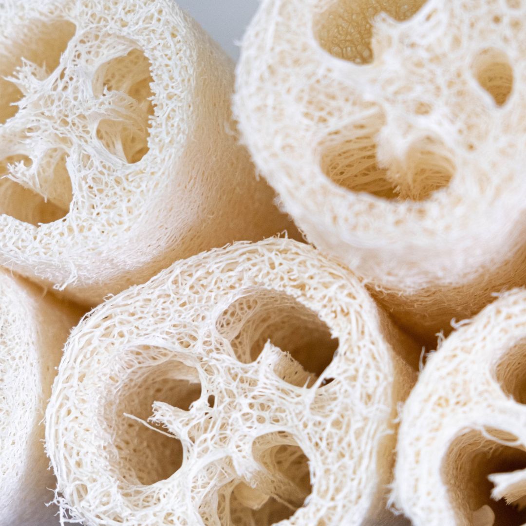 Loofah Sponge