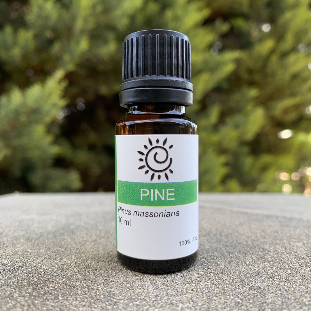Pine Essential Oil-Ess Oils-Elena Bath and Body-natural-pure-best-australia