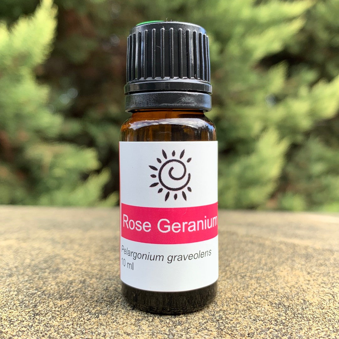 Rose Geranium Essential Oil-Ess Oils-Elena Bath and Body-natural-pure-best-australia