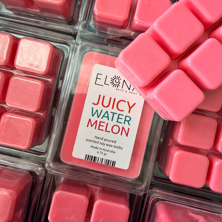 Juicy Watermelon Melt