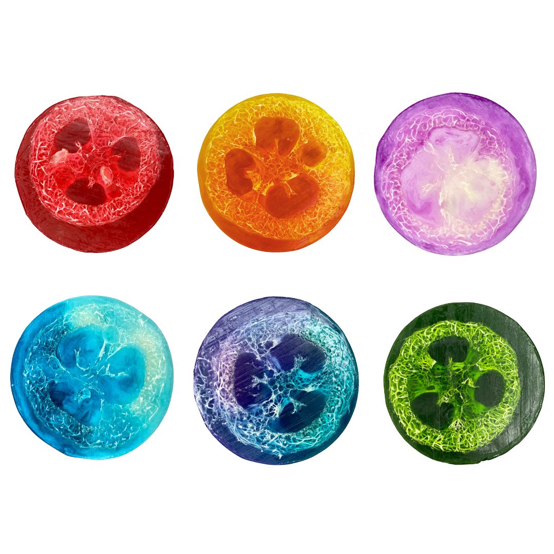 6 Loofah for $49.95