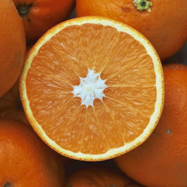 Sweet Orange Essential Oil